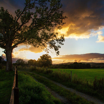 The Irish Living Urn - Green Farewells