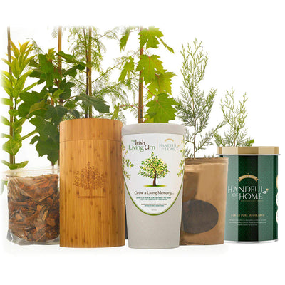 The Irish Living Urn - Lotus