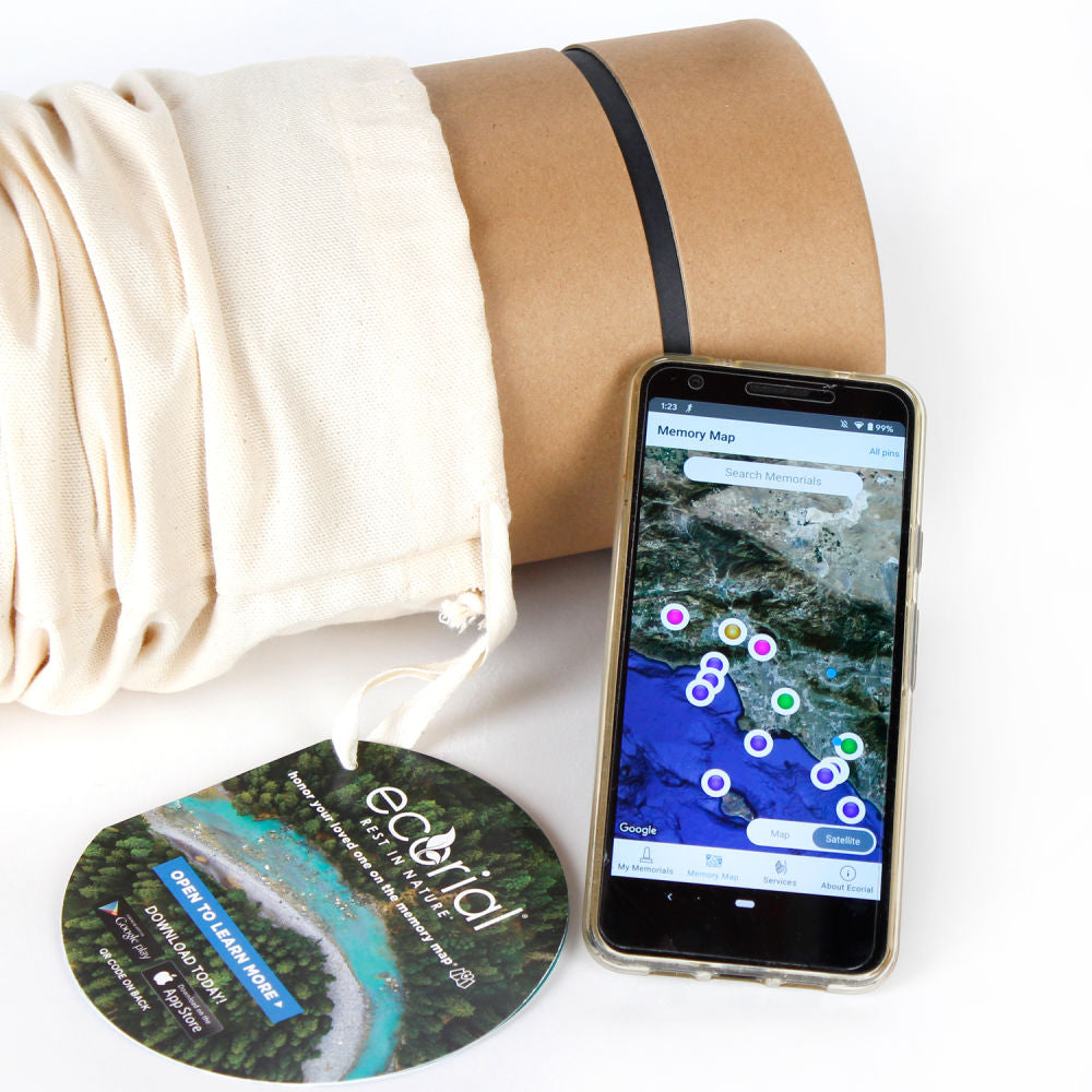 Beach Memories Scattering - Emmick