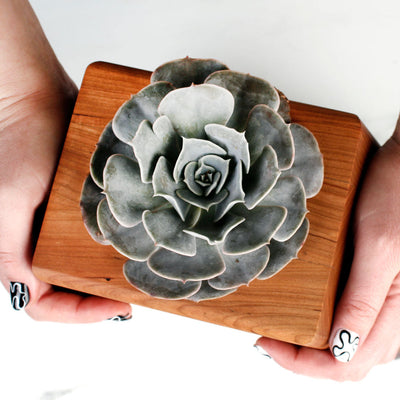 The Living Urn Planter - Two Rivers