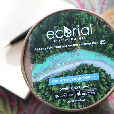 Simplicity Scattering - Blake