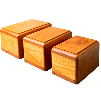 Telluride - Hyatt Ewald