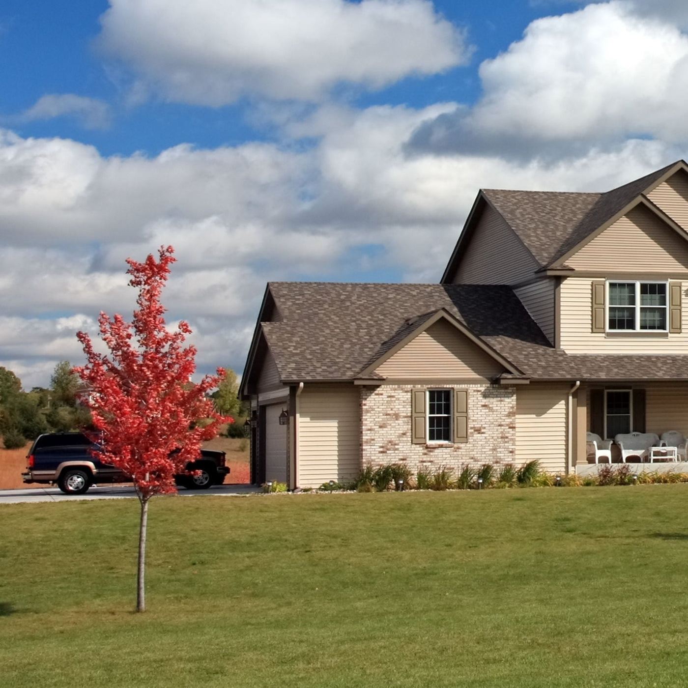 Red Maple - A Better Place