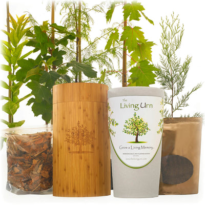 The Living Urn with a Voucher for a Tree - Monarch