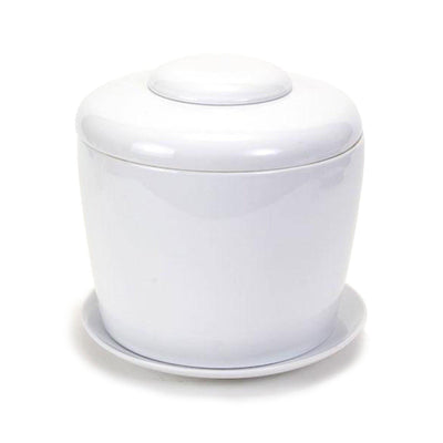 The Living Urn Indoors / Patio - A Better Place